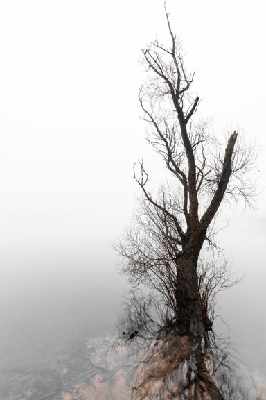 6-Seen Platte Duisburg