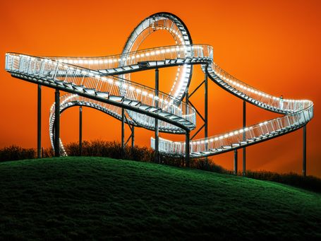 Tiger and Turtle